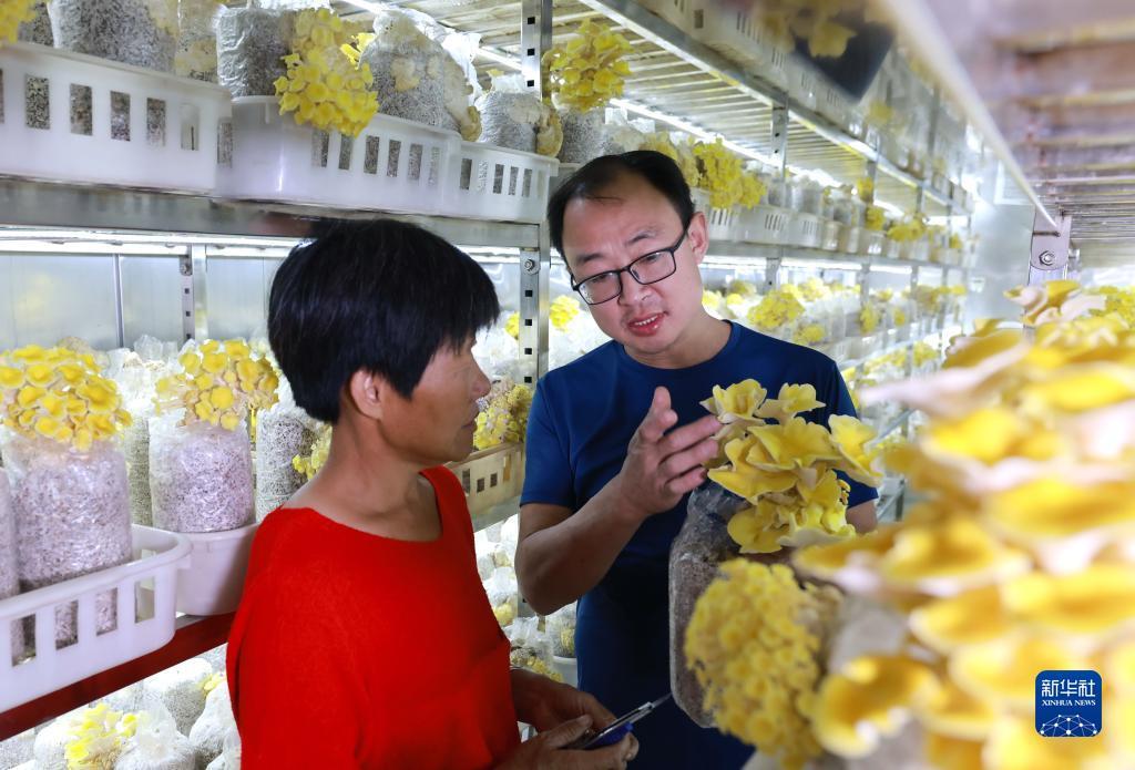 新威尼斯在线