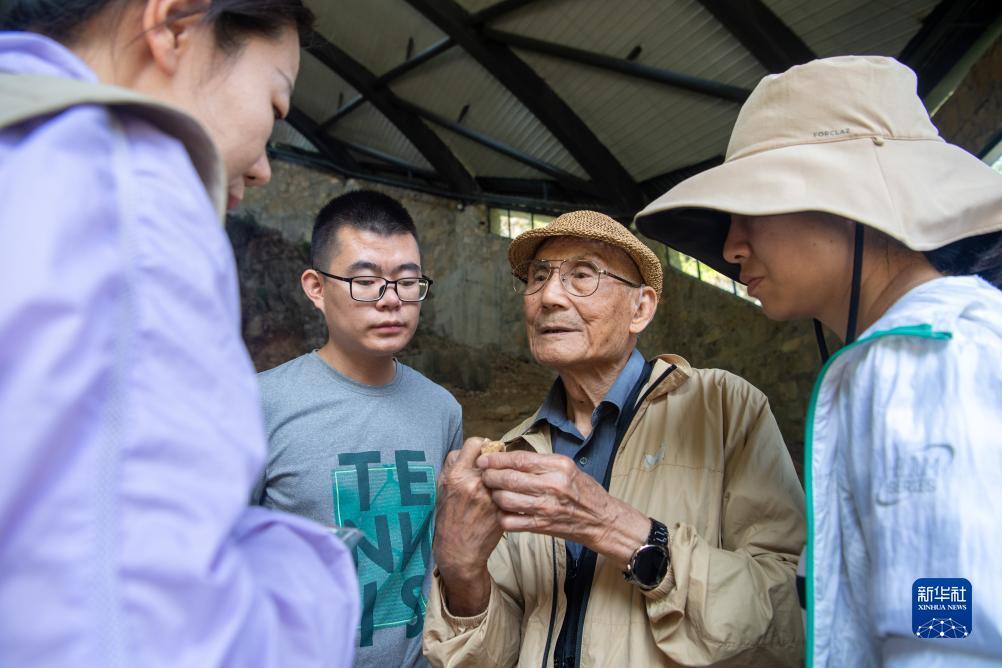 禅游游戏捕鱼